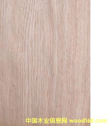 c鿴Chinese oak(quarter cut)ԔY
