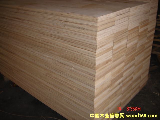 PLYWOOD LVLԔB