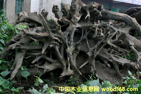 ꎳľ-5ԔB