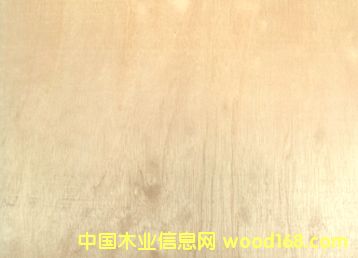 c鿴tŴDƬ