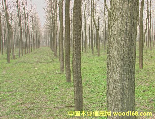 c鿴5000ɲ ŴDƬ