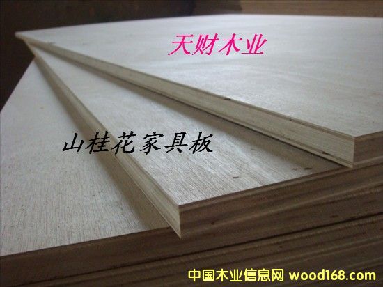 ɽ𻨶Ӱ2