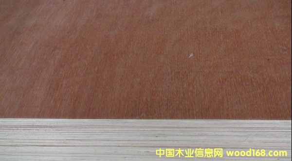 plywoodԔB