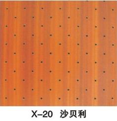 X-20ԔB