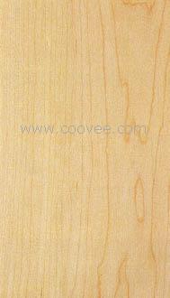 Hard Maple(ӲǗľԔB