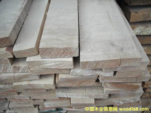 楓樺的詳細介紹