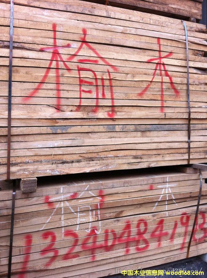 榆木的詳細介紹