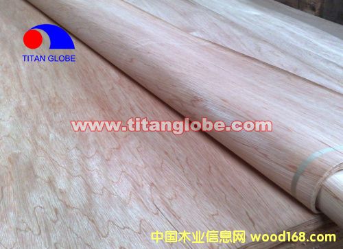 Hardwood Veneer -  Titan GlobeԔB