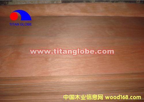 MLH Veneer - Titan GlobeԔB