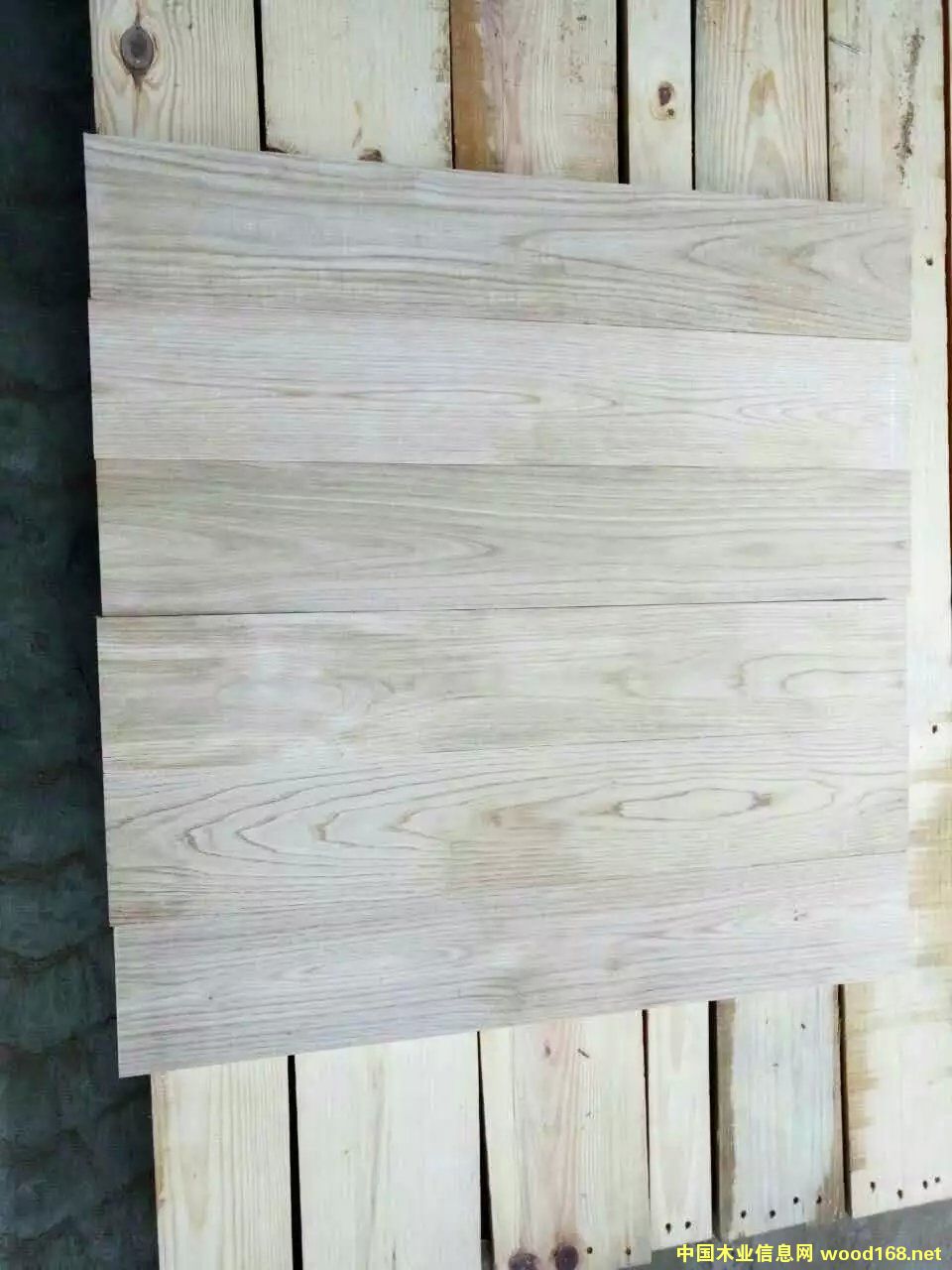 ľذ