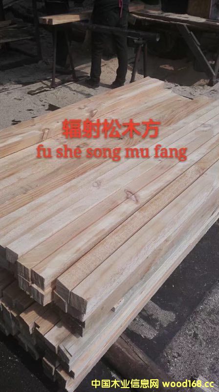 [] ݗľ