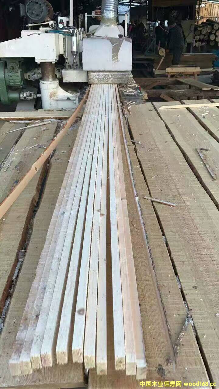 ɷļӹеԔB