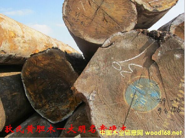 木材樹種詳解--狄氏黃膽木 俗稱:巴蒂木、加納烏檀