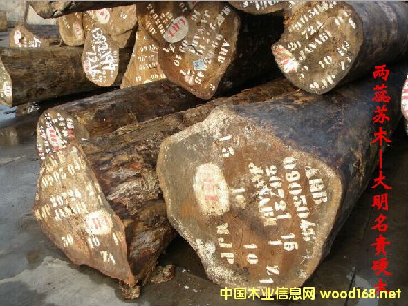 兩蕊蘇木 俗稱:黃蕓香、金絲梨木