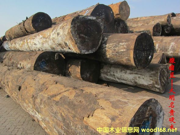 木材樹種詳解--腺瘤豆 俗稱:大比馬、大河馬