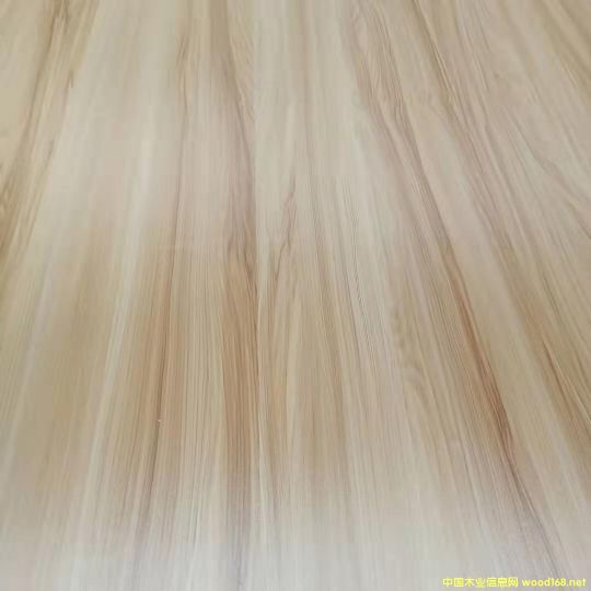 的詳細介紹