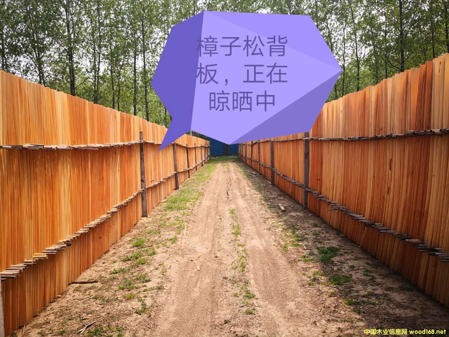  ɆΰԔB