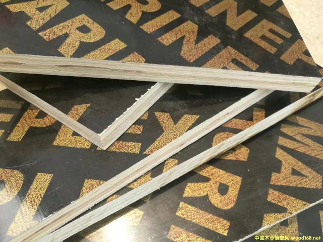 模板的詳細介紹