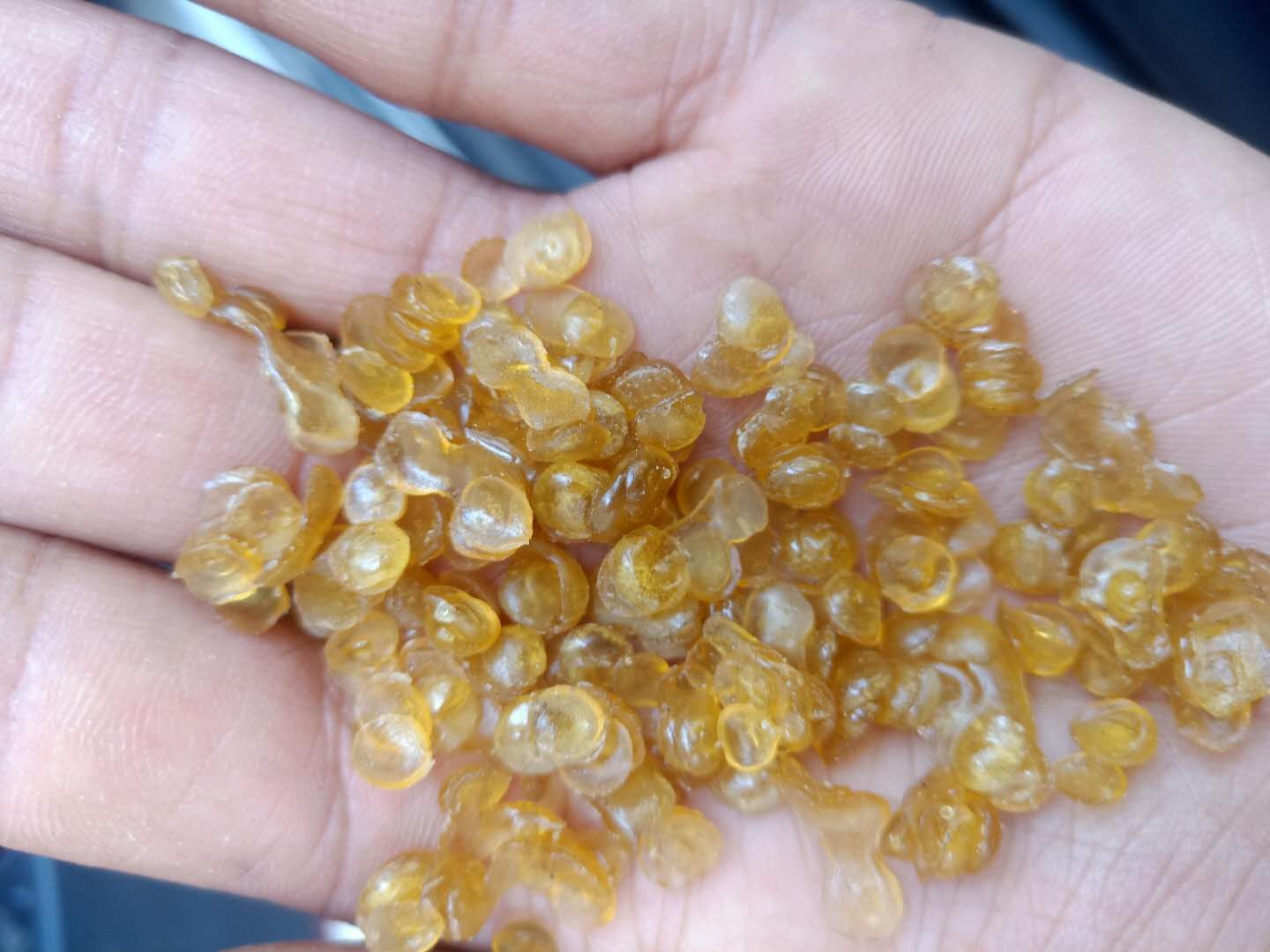 的詳細介紹