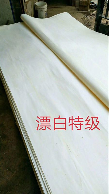 的詳細介紹