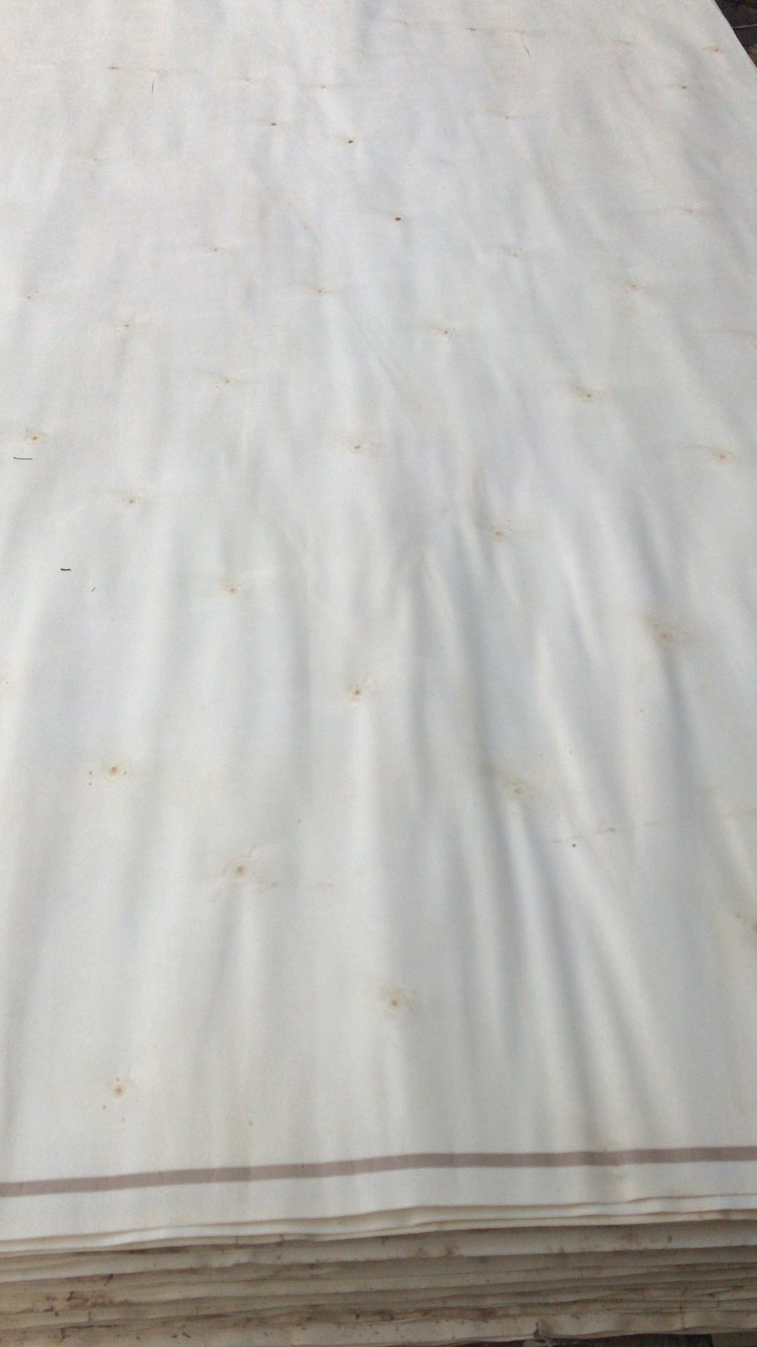 的詳細介紹