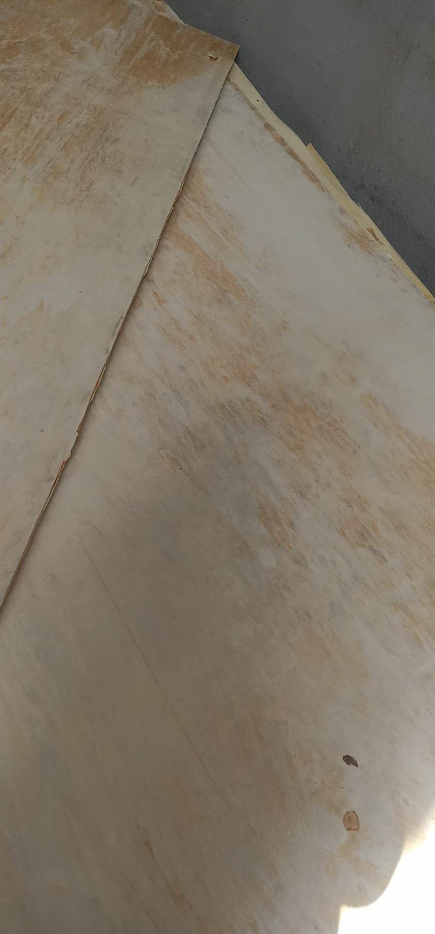 的詳細介紹