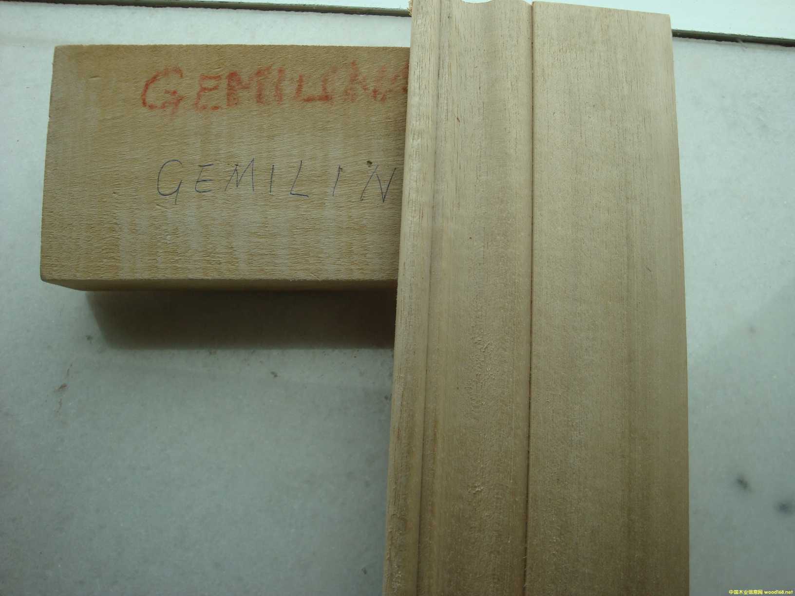 [] ľľeʯľGMELINA