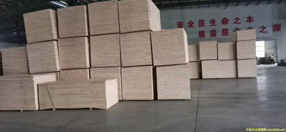 的詳細介紹