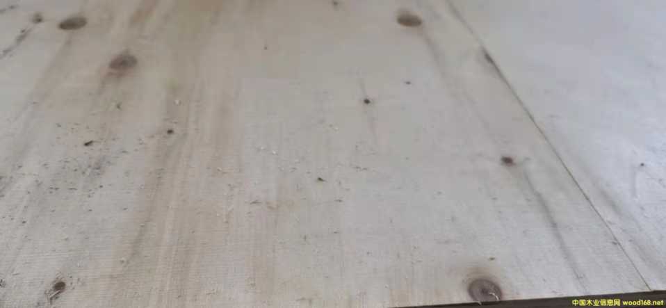 的詳細介紹