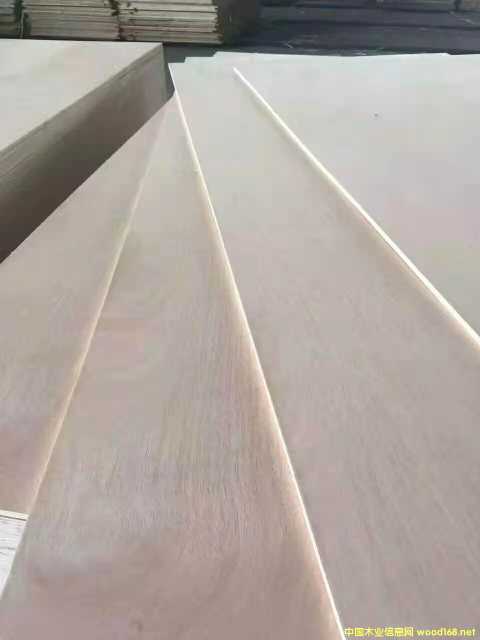 的詳細介紹