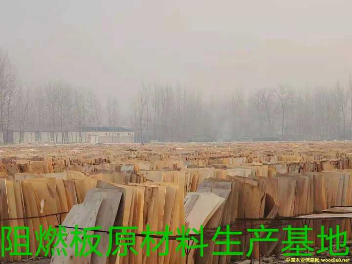 的詳細介紹