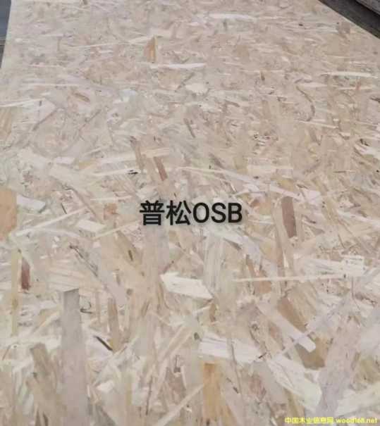 的詳細介紹
